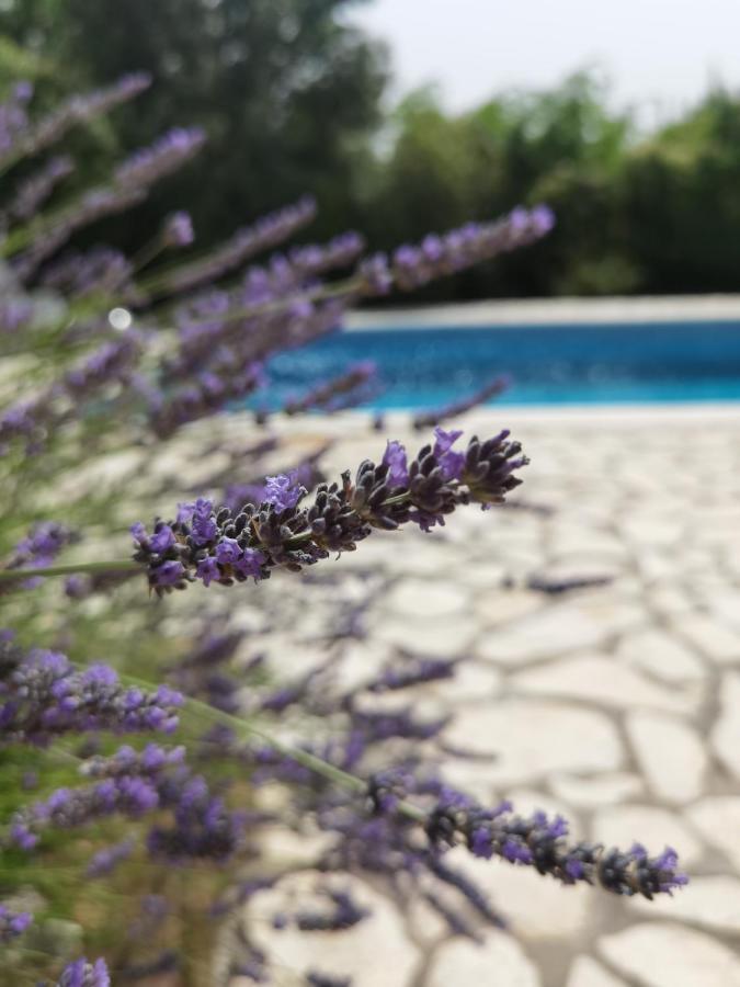 Holiday Homes Sintija Kampor Luaran gambar